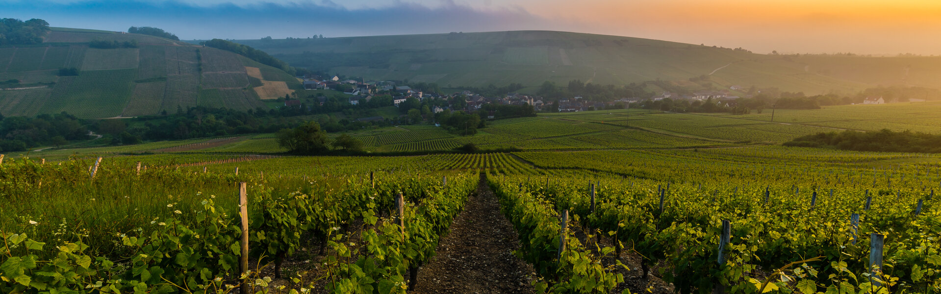 Pays Fort Sancerrois Val de Loire - Communauté de Communes