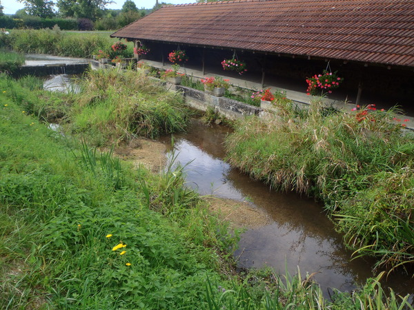 Lavoir sur la Benelle - Feux