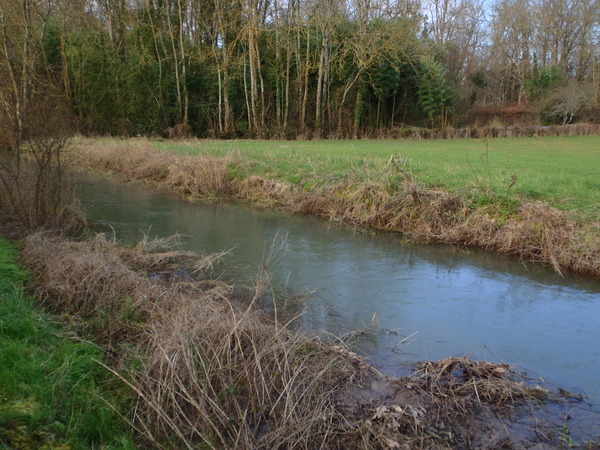 Bras artificiel du Boisseau - Saint-Bouize